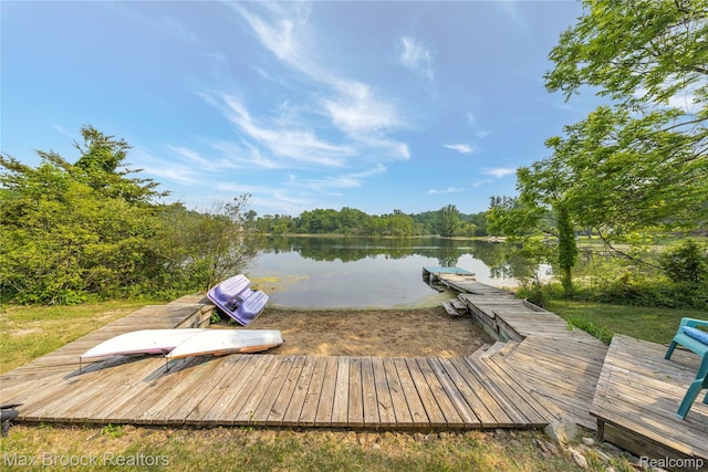 1982 E Coon Lake Rd, Howell, MI 48843 - dock with a water view