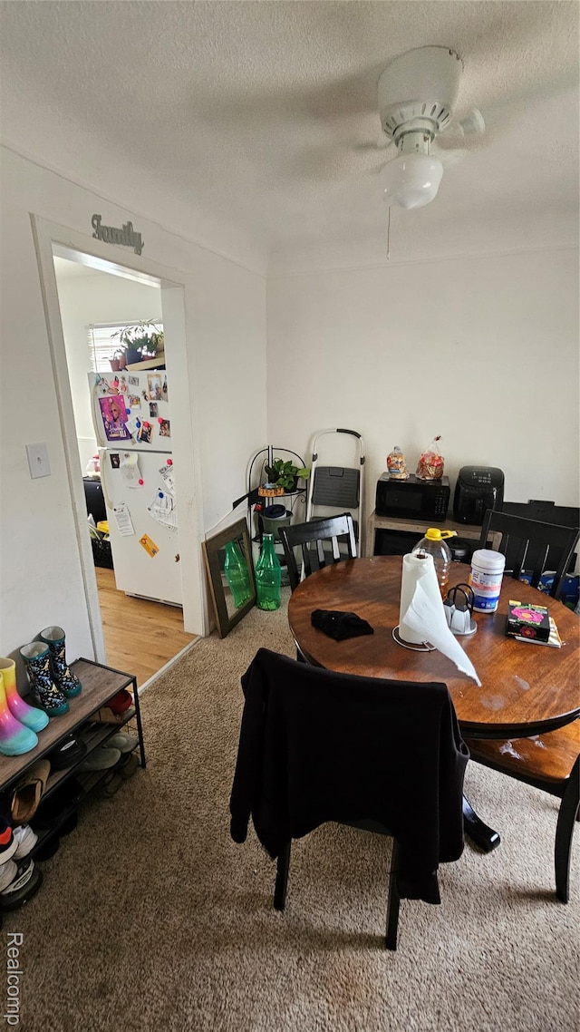 19610 Westphalia St, Detroit, MI 48205 - dining space with a textured ceiling, ceiling fan, and carpet floors