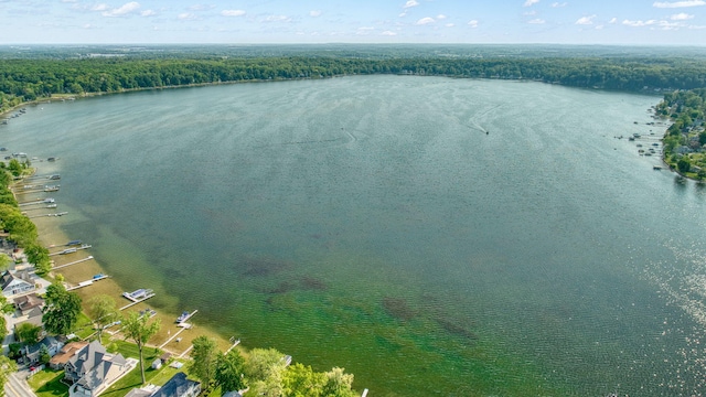 194 Pentecost Hwy, Onsted, MI 49265 - aerial view of a forest and a large body of water