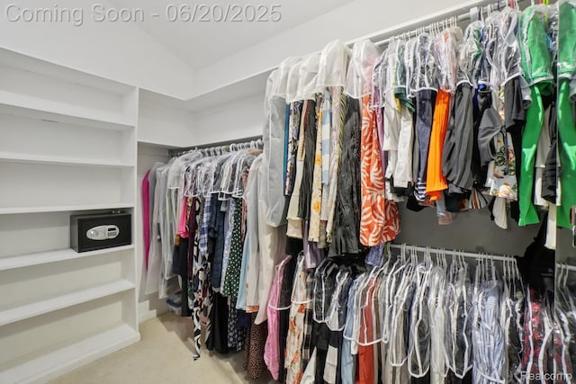 4541 Rivers Edge, Troy, MI 48098 - spacious closet with carpet
