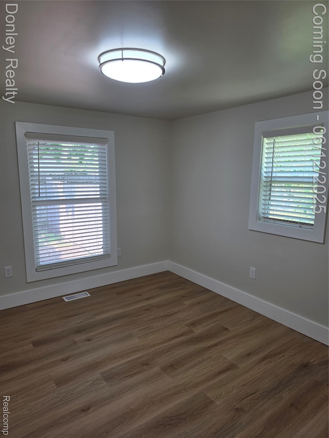 4514 Sebewaing Rd, Owendale, MI 48754 - empty room featuring plenty of natural light, baseboards, and dark wood-style flooring