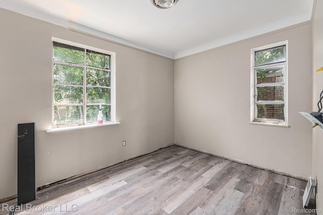 9236 Manistique St, Detroit, MI 48224 - spare room with plenty of natural light and wood finished floors