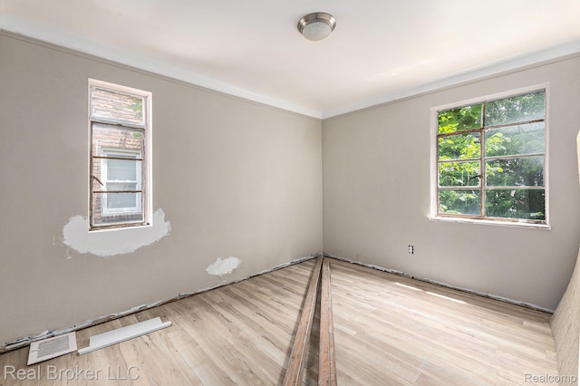 9236 Manistique St, Detroit, MI 48224 - spare room with light wood-style flooring