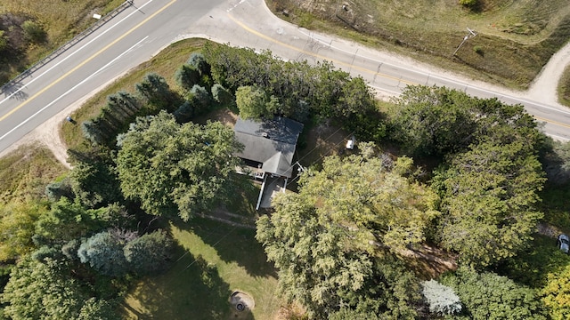 10017 M-115, Cadillac, MI 49601 - aerial overview of property's location