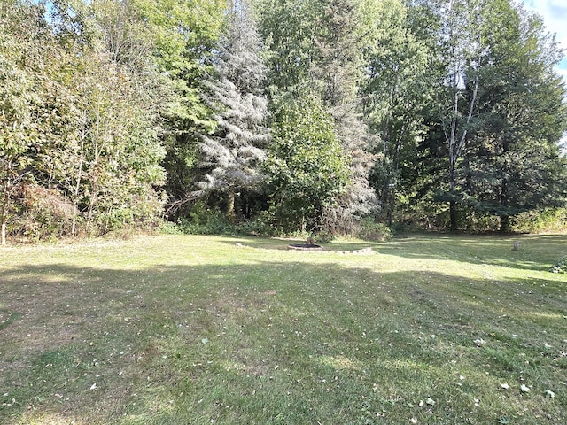 10017 M-115, Cadillac, MI 49601 - view of grassy yard