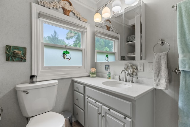 987 Wagner Dr, Battle Creek, MI 49017 - bathroom featuring vanity and toilet