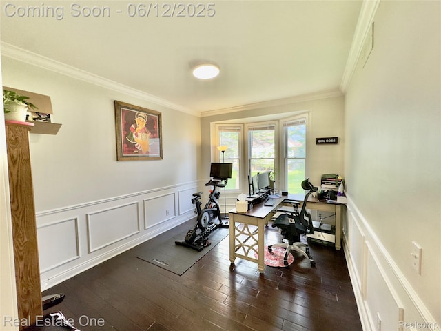 6038 Mayapple Dr, Troy, MI 48085 - exercise area with a decorative wall, crown molding, dark wood-type flooring, and wainscoting