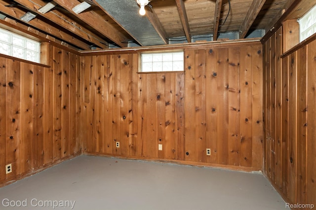 225 Euclid St, Mount Clemens, MI 48043 - basement featuring wood walls and plenty of natural light