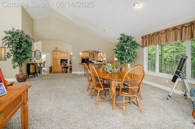 61995 Mount Vernon Rd, Washington, MI 48094 - dining room with arched walkways, vaulted ceiling, and light carpet