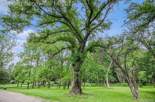 61995 Mount Vernon Rd, Washington, MI 48094 - view of community featuring a yard