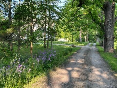 61995 Mount Vernon Rd, Washington, MI 48094 - view of street