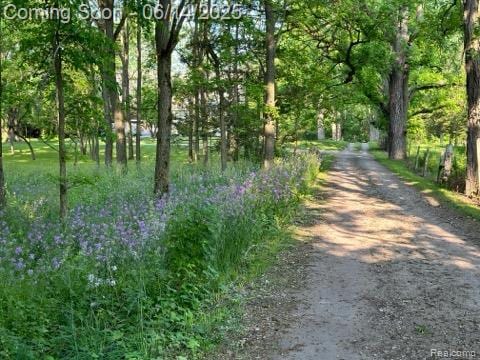 61995 Mount Vernon Rd, Washington, MI 48094 - view of dirt / gravel road
