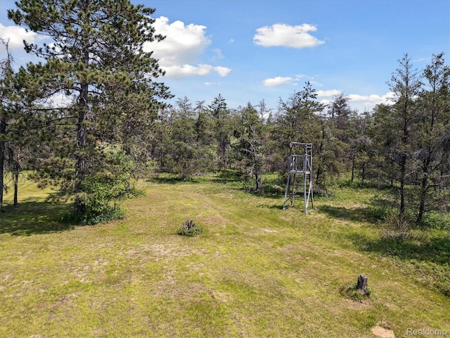 2536 Meridian Rd, Lewiston, MI 49756 - view of green lawn with a forest view