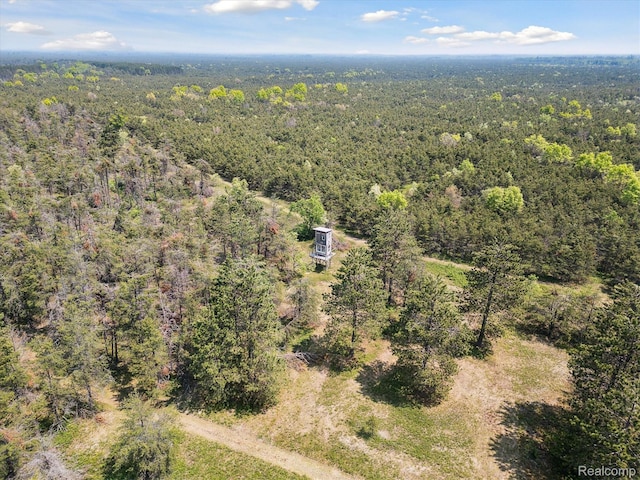 2536 Meridian Rd, Lewiston, MI 49756 - bird's eye view of a forest