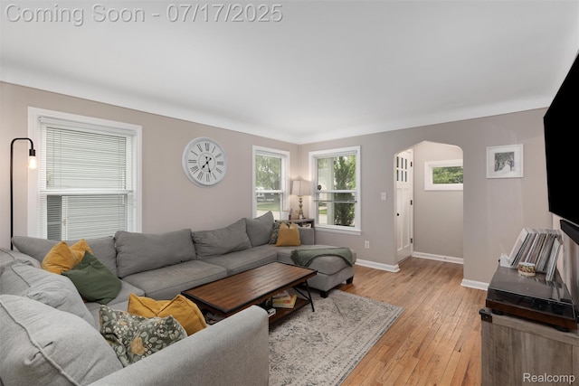 518 Roth Blvd, Clawson, MI 48017 - living room featuring arched walkways, healthy amount of natural light, and light wood-style flooring