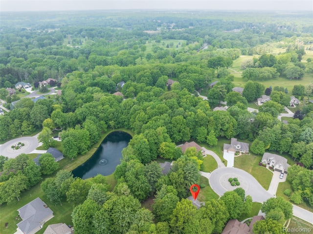 3409 Ancient Dr, Port Huron, MI 48060 - bird's eye view of a large body of water