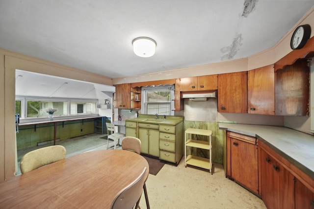 538 S Jackson St, Hanover, MI 49241 - kitchen featuring a sink, brown cabinetry, and open shelves