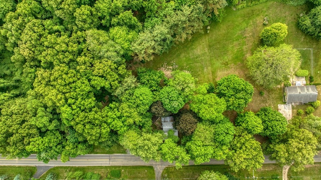 538 S Jackson St, Hanover, MI 49241 - bird's eye view