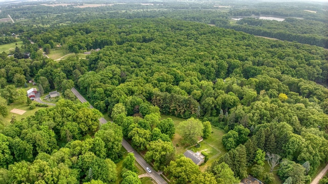 538 S Jackson St, Hanover, MI 49241 - view of property location featuring a forest
