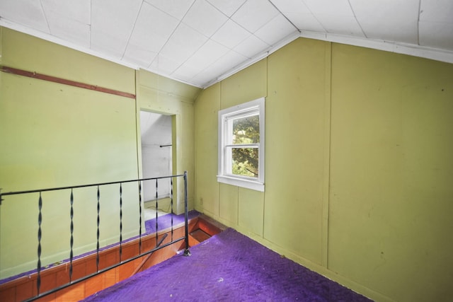 538 S Jackson St, Hanover, MI 49241 - empty room with vaulted ceiling
