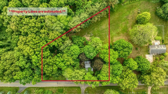 538 S Jackson St, Hanover, MI 49241 - photo 49
