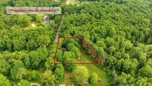 538 S Jackson St, Hanover, MI 49241 - photo 50
