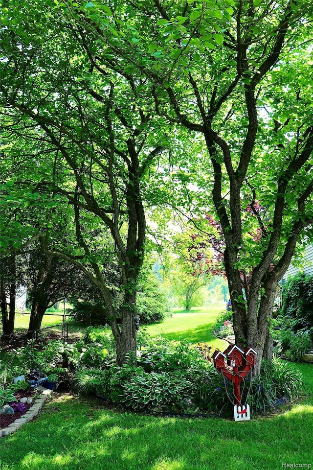 1149 Highview Dr, Lapeer, MI 48446 - view of green lawn
