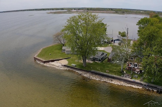 5547 Circle Dr, Standish, MI 48658 - drone / aerial view of a large body of water