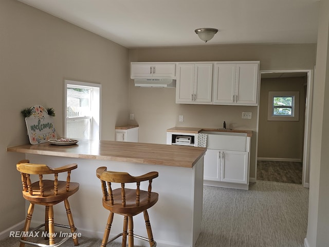3705 Gratiot Ave, Flint, MI 48503 - kitchen featuring under cabinet range hood, plenty of natural light, and a kitchen bar