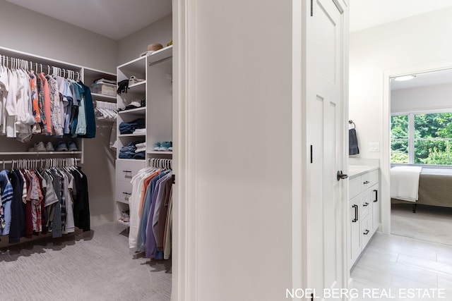 18153 Newgate Ln, Spring Lake, MI 49456 - spacious closet with light colored carpet