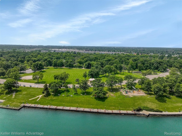 2931 4th St, Trenton, MI 48183 - bird's eye view of a large body of water