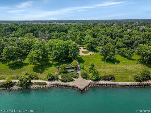 2931 4th St, Trenton, MI 48183 - aerial view of a nearby body of water