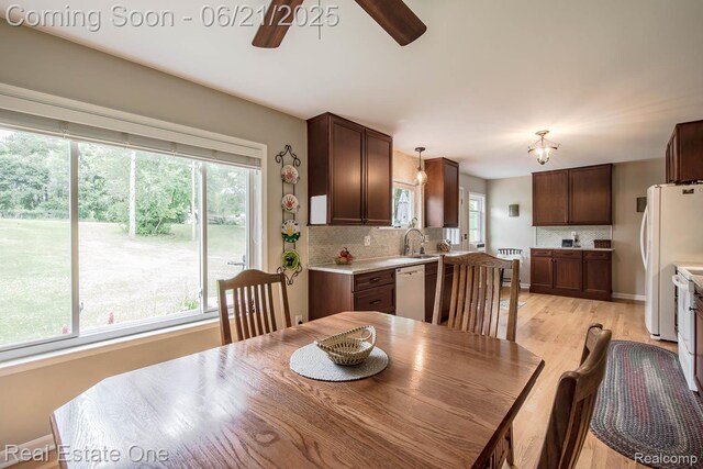 1400 W Predmore Rd, Oakland, MI 48363 - dining area with healthy amount of natural light, ceiling fan, radiator heating unit, and light wood-style floors