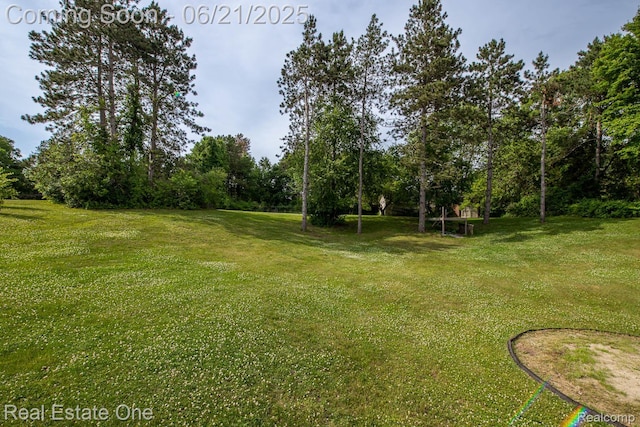 1400 W Predmore Rd, Oakland, MI 48363 - view of green lawn