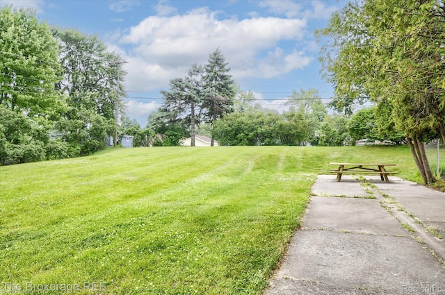 810 Plate St Unit 103, Rochester, MI 48307 - view of green lawn