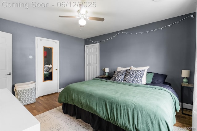 335 Main St, Morrice, MI 48857 - bedroom with wood finished floors, a ceiling fan, and baseboards