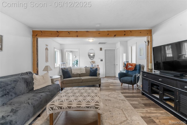 335 Main St, Morrice, MI 48857 - living area featuring wood finished floors and ornamental molding