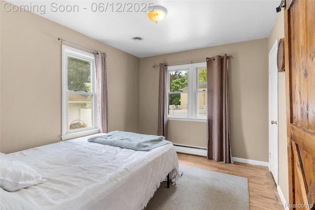 335 Main St, Morrice, MI 48857 - bedroom with multiple windows, a baseboard radiator, light wood-style flooring, and baseboards