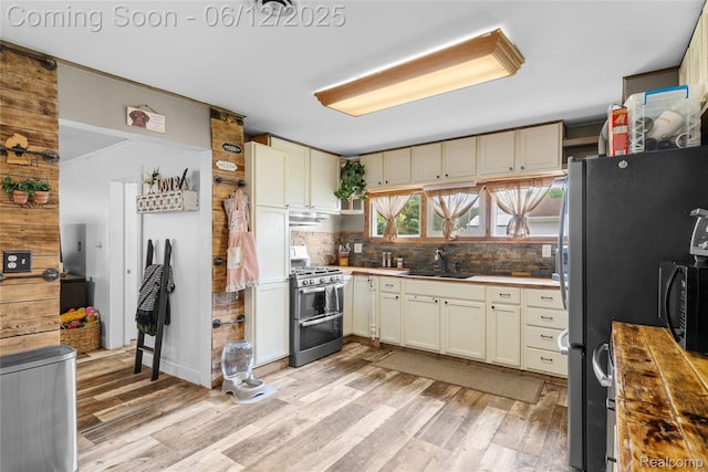 335 Main St, Morrice, MI 48857 - kitchen featuring stainless steel appliances, a sink, tasteful backsplash, and light wood finished floors
