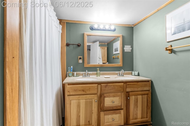 335 Main St, Morrice, MI 48857 - bathroom with double vanity and crown molding