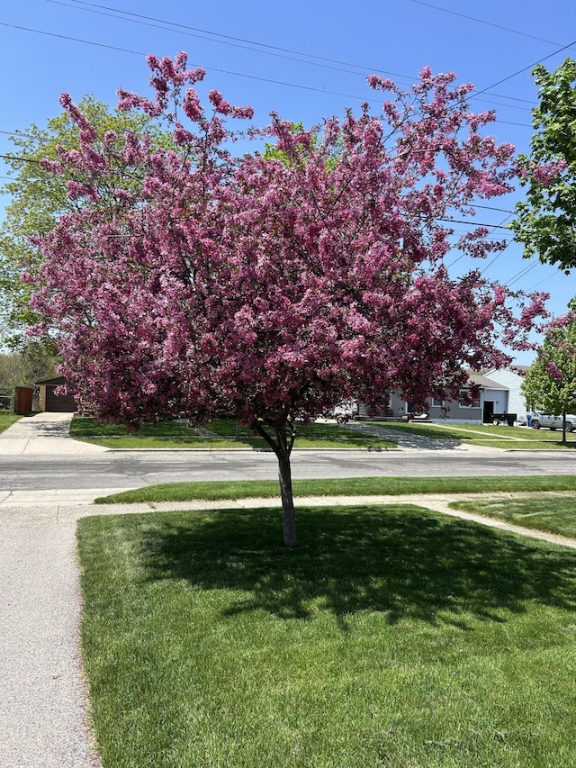 4246 Flamingo Ave SW, Wyoming, MI 49509 - view of grassy yard