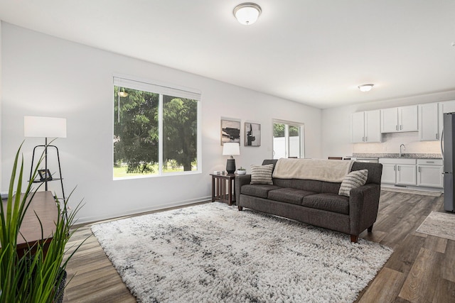 1047 Rebecca St, Marshall, MI 49068 - living room with dark wood-style floors and baseboards