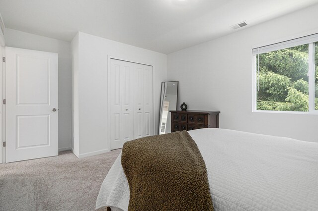 1047 Rebecca St, Marshall, MI 49068 - carpeted bedroom featuring baseboards and a closet