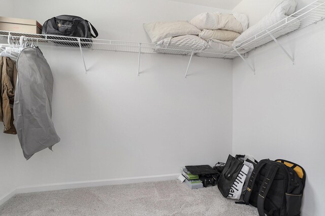 1047 Rebecca St, Marshall, MI 49068 - walk in closet with carpet