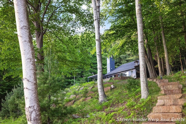 5185 W Nurnberg Rd, Michigan, MI 49411 - view of yard with a forest view
