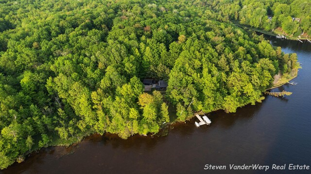 5185 W Nurnberg Rd, Michigan, MI 49411 - bird's eye view of a nearby body of water and a heavily wooded area