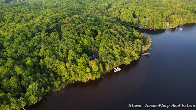 5185 W Nurnberg Rd, Michigan, MI 49411 - drone / aerial view of a heavily wooded area and a nearby body of water