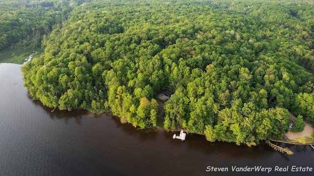 5185 W Nurnberg Rd, Michigan, MI 49411 - aerial view of a large body of water and a heavily wooded area