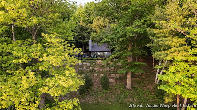 5185 W Nurnberg Rd, Michigan, MI 49411 - view from above of property featuring a heavily wooded area