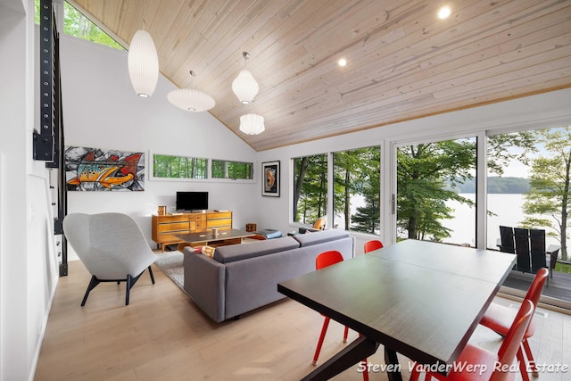 5185 W Nurnberg Rd, Michigan, MI 49411 - living room with wood ceiling, healthy amount of natural light, high vaulted ceiling, light wood-type flooring, and recessed lighting
